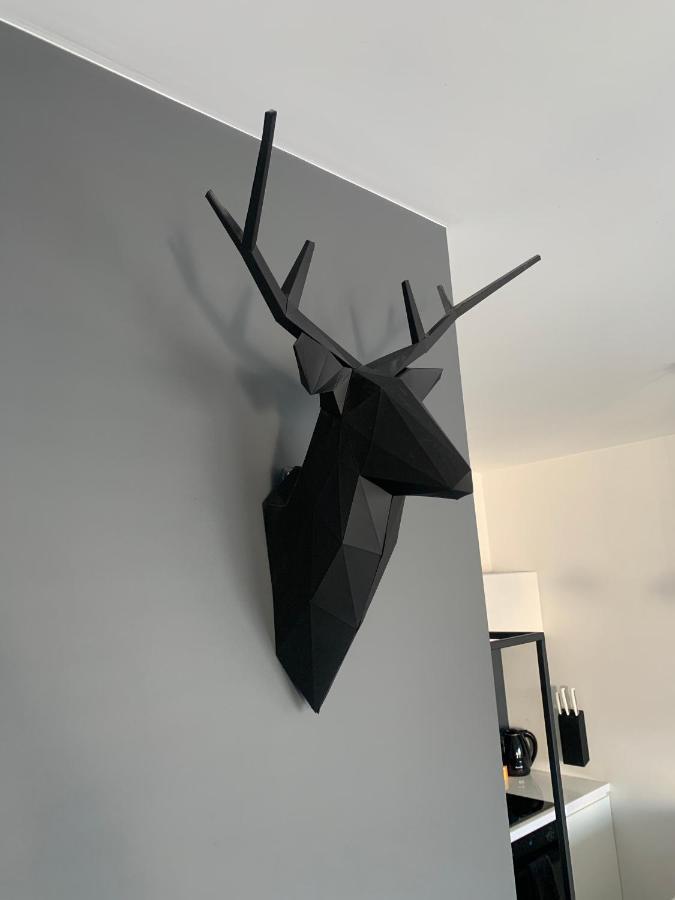 Ekskluzywny Penthouse Z Ogrodem W Centrum Lodzi Esterno foto